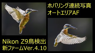 Nikon Z9 カワセミ ホバリング連続写真　新ファームVer.4.10　　鳥検出