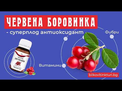 Видео: В сока от червена боровинка има ли витамин С?