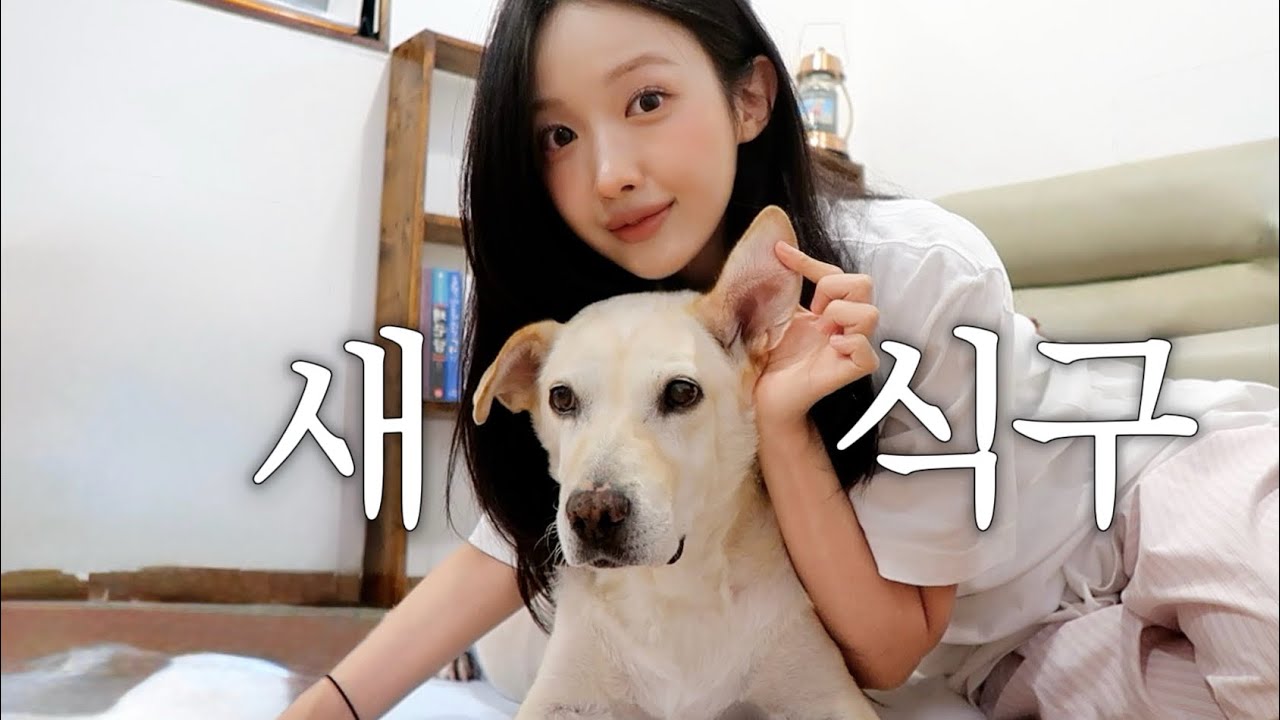 [vlog] 새 가족이 생겼어요