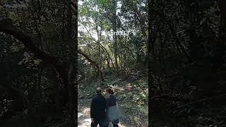 Download Lagu awas ular #videoshort #videoviral #pecintaalam MP3