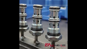 Assembling view VBC single acting pilot check valves!