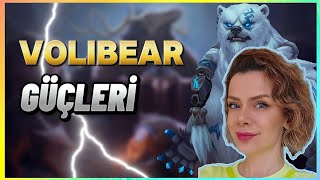 VOLİBEAR GÜÇLERİ - BİLİNEN & TAHMİN EDİLEN