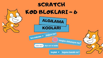 Scratch Kod Blokları - 6: Algılama Kodları