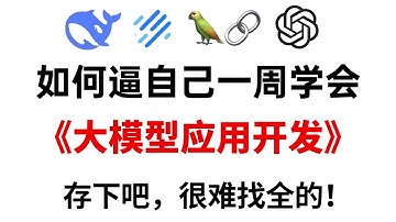 冒死上传！已经替大家付费了，花9980买的AI大模型应用开发系统教程，逼自己一周学完国产最强AI大模型应用开发，七天就能从小白到大神！