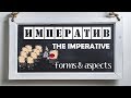 Intermediate Russian. The Imperative: Forms and Aspects