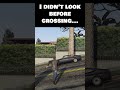I didn't look before crossing