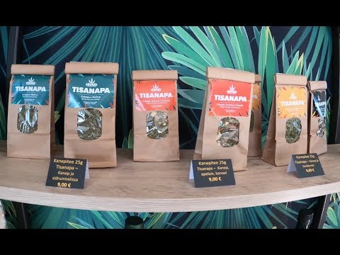Video: Lekárska Marihuana Pre Domácich Miláčikov, Ktorí Sa Stále študujú