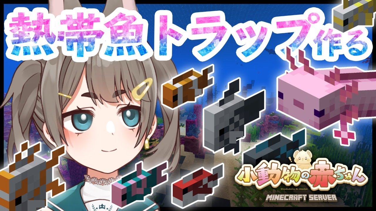Minecraft 熱帯魚トラップを作ろう Vtuber Youtube Minecraft 熱帯魚トラップを作ろう Vtuber Youtube