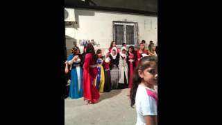 Sönmez Müzik Memiraların Düğünü 《Botani̇》 Resimi