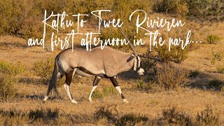 Kgalagadi Transfrontier Park March 2024 - Ep1: Kathu to Twee Rivieren & first afternoon in the park