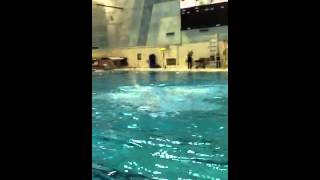 Dads synchro