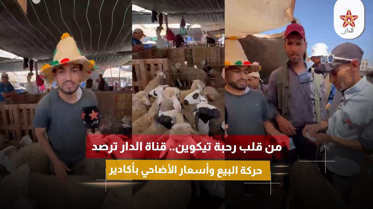 من قلب رحبة تيكوين.. قناة الدار ترصد حركة البيع وأسعار الأضاحي بأكادير