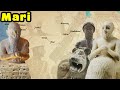 The History Of The Magnificent City Of Mari Ancient Sumer Akkad Babylonia The History Of The Magnificent City Of Mari Ancient Sumer Akkad Babylonia