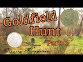 Metal detecting Goldfield Part 2