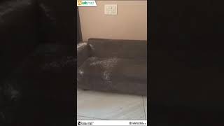 Discover the Art of Sofa Cleaning with Washmart's Expertise