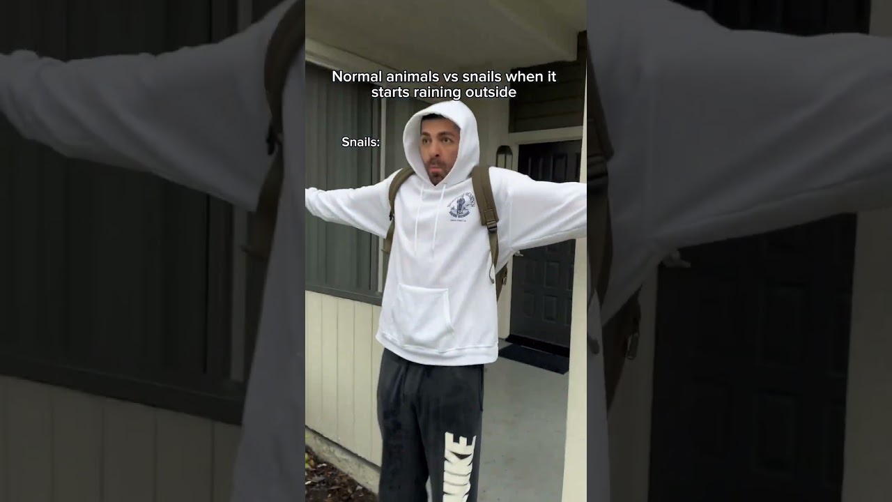 Normal animals vs snails when it starts raining outside. 