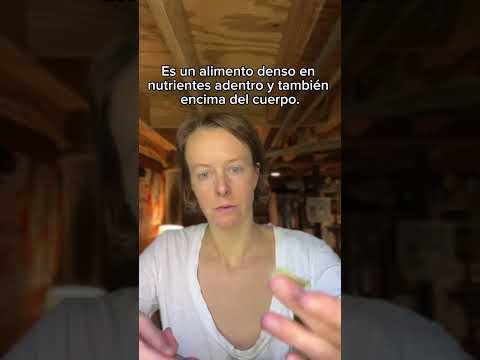 Video: Aceite de consuelda curativa - Usa la consuelda para hacer una infusión de aceite curativo