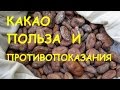 Какао. Польза и вред.