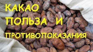 видео Какао. Польза и вред для здоровья. Калорийность