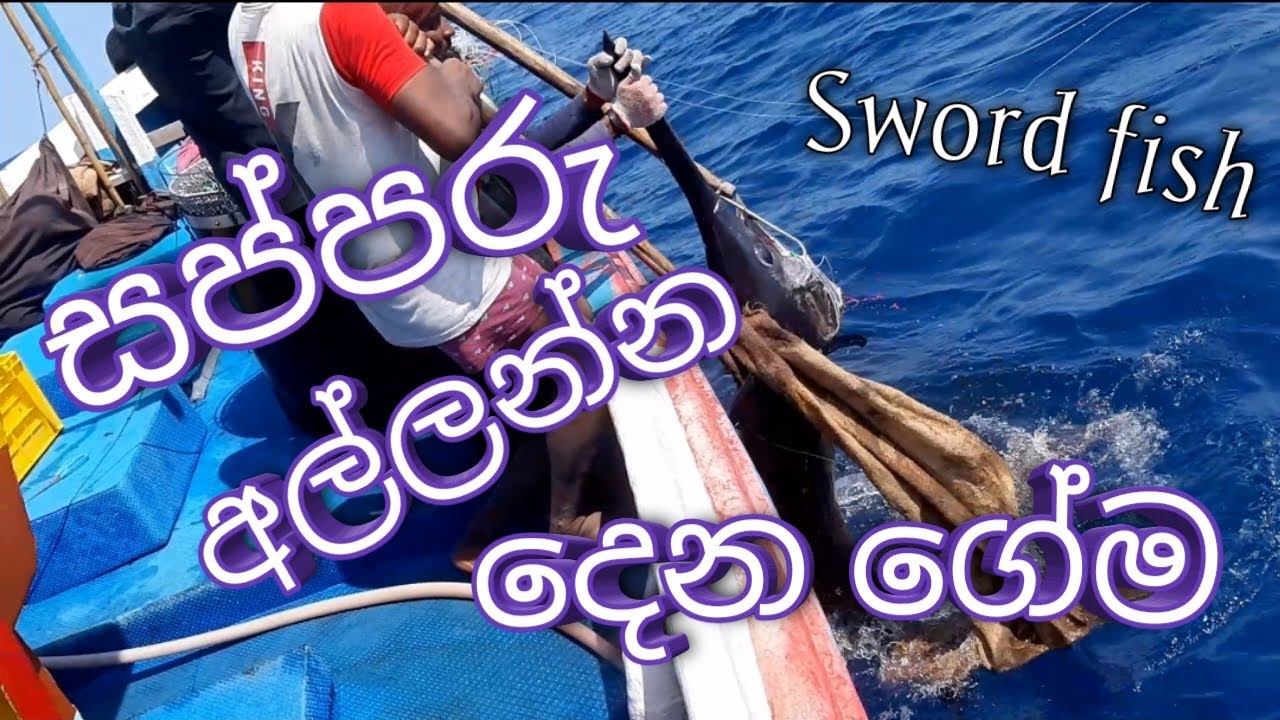 Sword fish episode 1