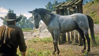 Arthur Morgan Tames a Grey Kentucky Saddler Mare near Reed Cottage | RDR2 (Modded)