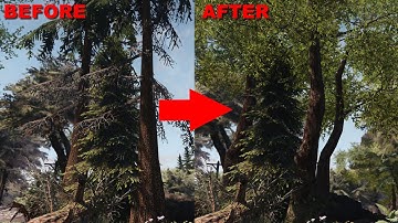 Skyrim SE Replacing Nif, Using Other Mods