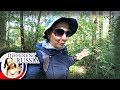 Provincial Russia: Nut hunting in the woods. Indian summer 2017