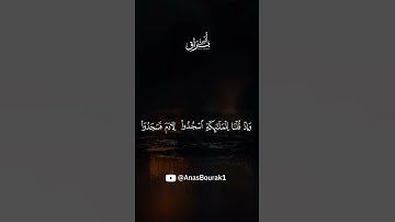 Anas bourak surah alkahf - أنس براق | تلاوة خاشعة من سورة الكهف