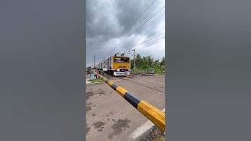 Emu skip Railgate #shorts