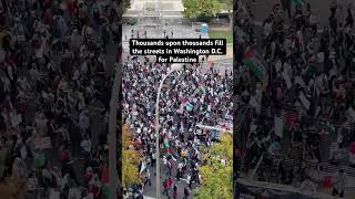 Thousands upon thousands march for Palestine in D.C. Resimi