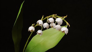 ABC TV | How To Make Lily Of The Valley Flower | Flower Die Cuts - Craft Tutorial