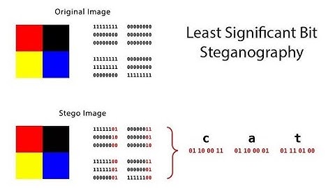 CACHER UN MESSAGE SECRET DANS UNE IMAGE termux steganographie