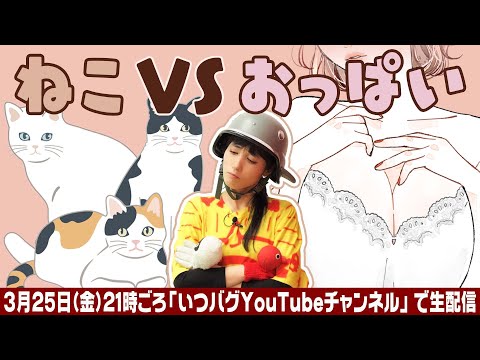 【ドリームマッチ】猫VSおっぱい　勝つのはどっちだ！