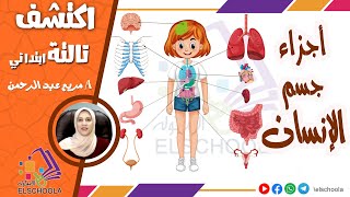 أجزاء جسم الإنسان | اكتشف تالتة ابتدائي | الاسكوله