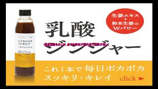 乳酸菌と食物繊維、ミネラルとフルボ酸が入った生姜シロップ【乳酸ジンジャー】