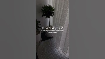 سورة الكوثر مكية الآيات{ ٣ } #المصحف #quran #اكسبلور #duet #islamicfestival #دويتو #الرحمن #islamich