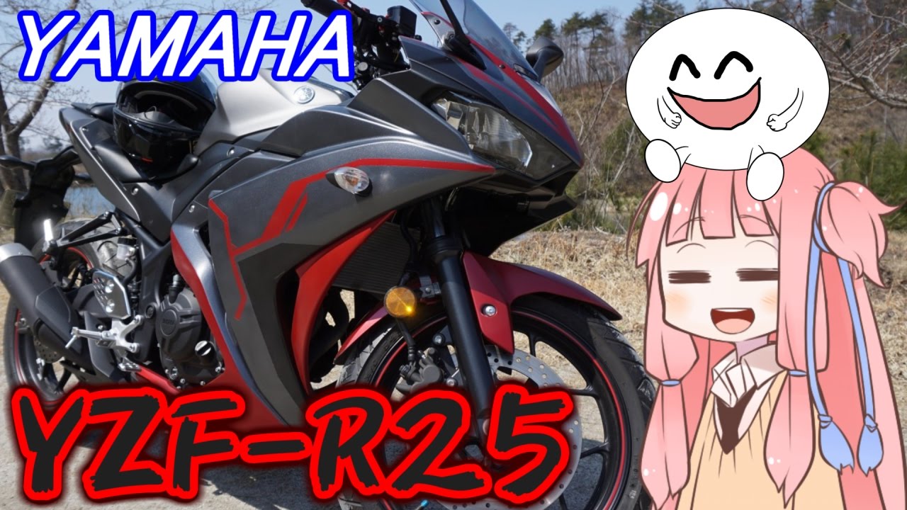 俺の愛バイク紹介します！YZF R25 - YouTube