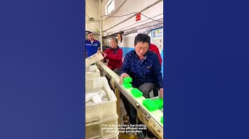 Human Efficiency in Fast Soap Packing