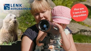 Lexcursion Idéale Avec Des Enfants La Journée Dobservation Des Marmottes À Lenk