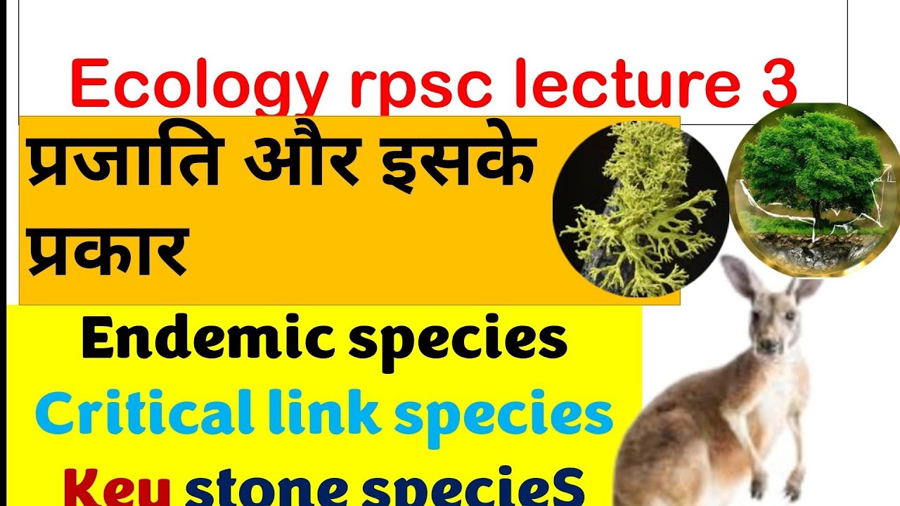 ecology basics and types of species in hindi||keystone,critical link or ...