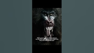 The most terrifying animal humans had to live with #prehistoric #dinopithecus #extinct #ape #baboon