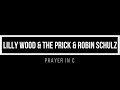 Capture de la vidéo Lilly Wood & The Prick And Robin Schulz - Prayer In C (Robin Schulz Remix) 1 Hour Loop
