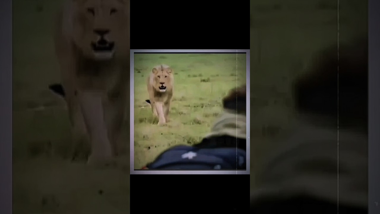 The legend bro..🥶🔥🤯 