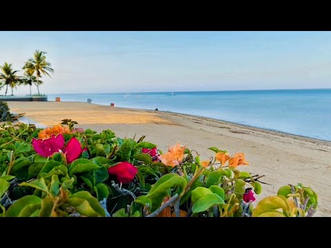 ASMR | Morning