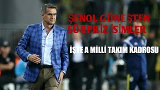 Euro 2020 Elemeleri̇ A Mi̇lli̇ Takimi Kadrosu Belli̇ Oldu Şenol Güneşten Sürpri̇z İsi̇mler