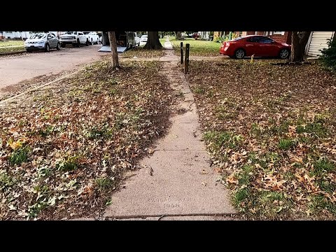 Sidewalk Almost Completely Covered From Years Of Neglect - Fall Cleanup Start To Finish