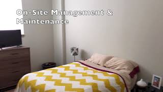 The Flats of Lebanon One Bedroom Tour
