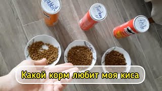 Эксперимент какой корм киса любит больше. Последние деньки в старой квартире.