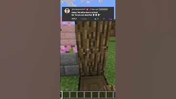 Day 28: Building a Minecraft House One Block a Day