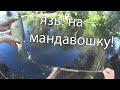 Рыбалка на сети мандавошки! Лодка не нужна! Ловля язя и подлещика!  Fishing on the net!